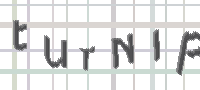 CAPTCHA image for SPAM prevention 